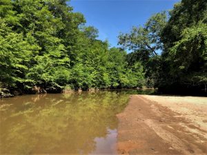 Woolsey Flint River Preserve